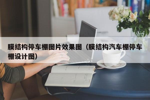 膜结构停车棚图片效果图（膜结构汽车棚停车棚设计图）