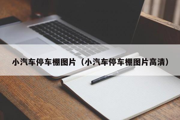 小汽车停车棚图片（小汽车停车棚图片高清）