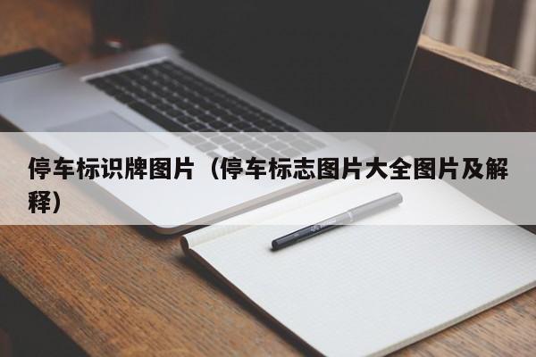 停车标识牌图片（停车标志图片大全图片及解释）